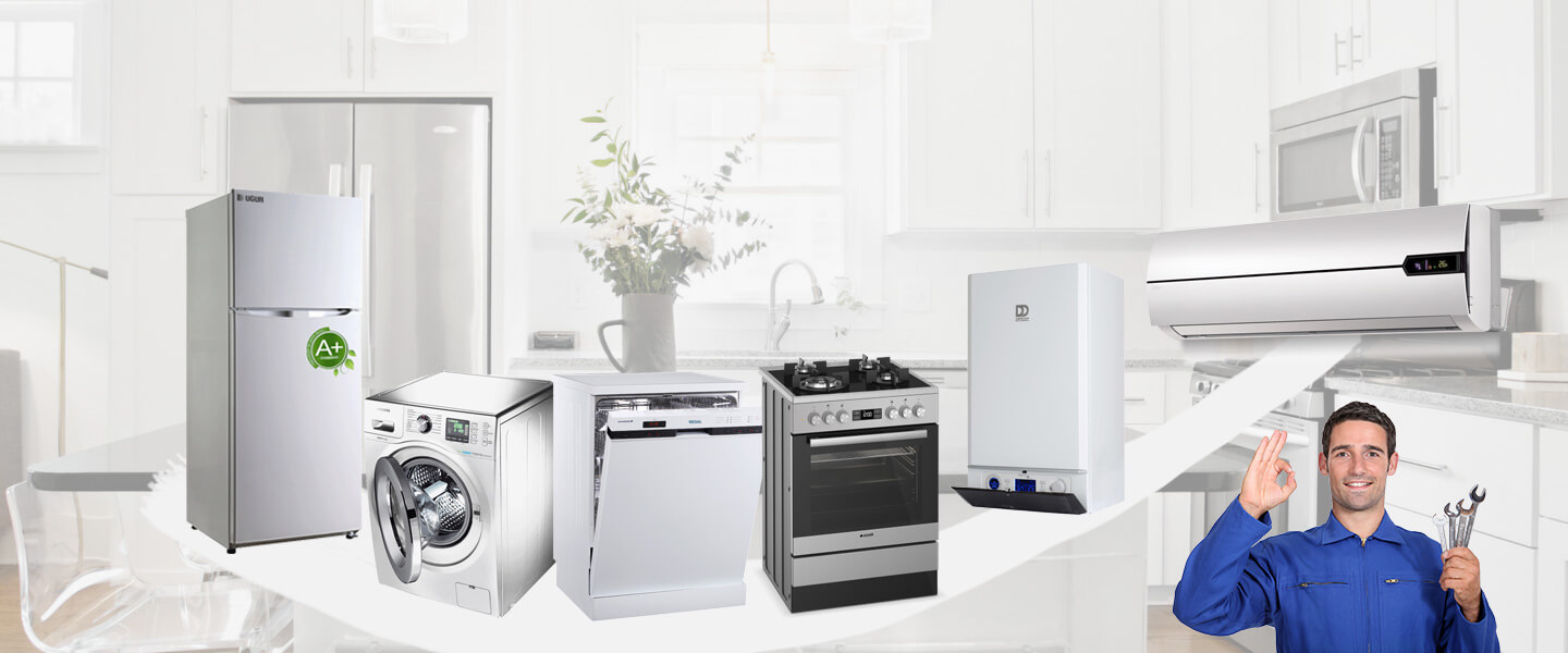 Güzelbahçe Smeg Servisi